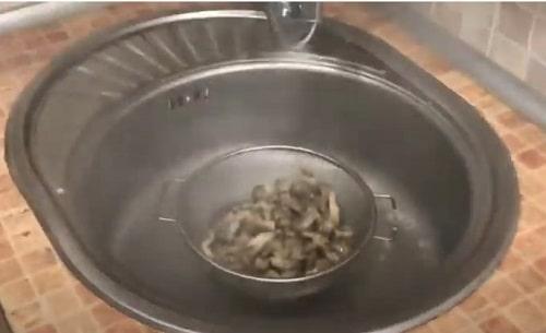 Маринованные вешенки на зиму. Маринованные вешенки – очень вкусные рецепты в домашних условиях