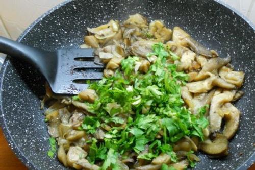 Маринованные вешенки с чесноком. Вешенки с чесноком: рецепты жареных и маринованных блюд