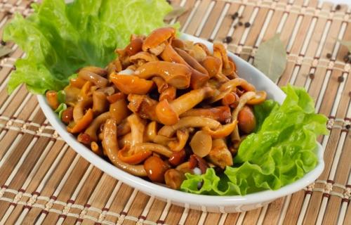 Как варить опята. Сколько варить опята до готовности и 14 лучших рецептов с грибами