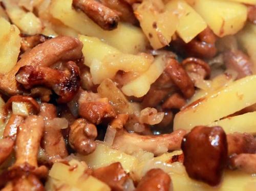 Сколько варить опята для жарки с картошкой. Как пожарить опята с картошкой на сковороде