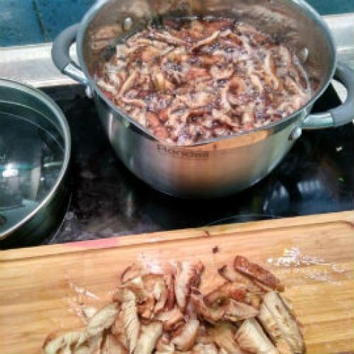 Сколько варить опята для супа. Как варить опята