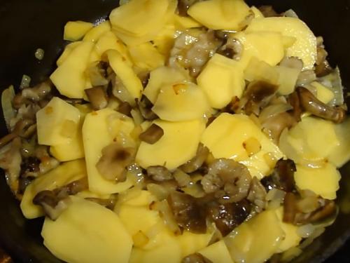 Сколько варить опята для жарки с картошкой. Как пожарить опята с картошкой на сковороде