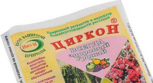 Подкормка помидор для роста. Народные средства для подкормки помидоров 05