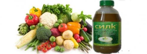 Подкормка помидор для роста. Народные средства для подкормки помидоров 06