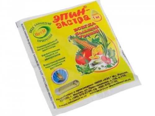 Подкормка помидор для роста. Народные средства для подкормки помидоров 03