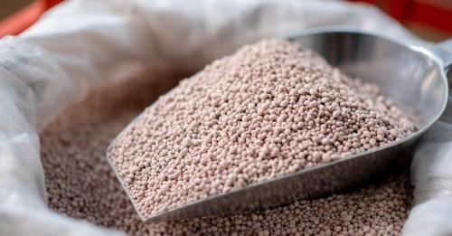 Что класть в лунку при посадке помидоров. 10 вариантов наполнения лунки перед посадкой томатов для богатого урожая