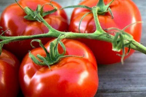 Что класть в лунку при посадке помидоров. 10 вариантов наполнения лунки перед посадкой томатов для богатого урожая