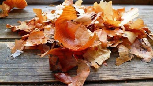 Что класть в лунку при посадке помидоров. 10 вариантов наполнения лунки перед посадкой томатов для богатого урожая