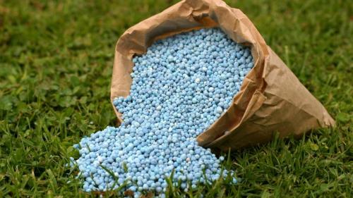 Подкормка томатов минеральными удобрениями. Что такое минеральные удобрения