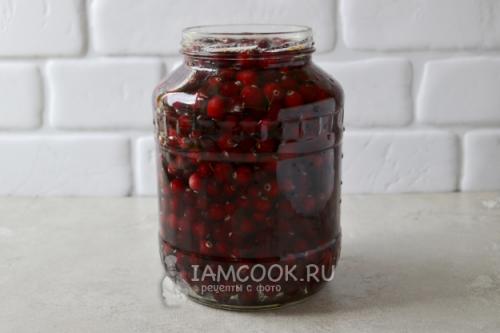 Вкуснейшая клюква на зиму: рецепт без варки и сахара 15 Вкуснейшая клюква на зиму: рецепт без варки и сахара 15