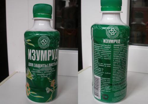 Подкормка помидор в домашних условиях. Когда начинать подкармливать рассаду помидоров