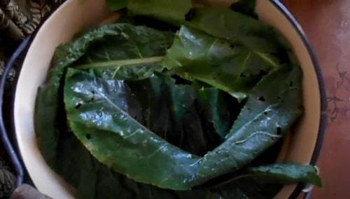 Соленые зеленые помидоры с горчицей и чесноком. Острые соленые зеленые помидоры с чесноком и зеленью (как бочковые)