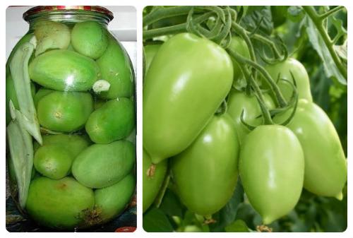 Соленые зеленые помидоры с горчицей и чесноком. Острые соленые зеленые помидоры с чесноком и зеленью (как бочковые) 11