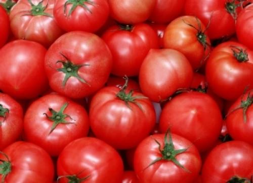 Что дает горчица при засолке помидор. Подготовка к засолке