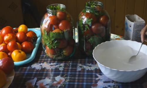 Помидоры с горчицей холодным способом без уксуса. Как засолить помидоры на зиму в банках? Простой рецепт без уксуса