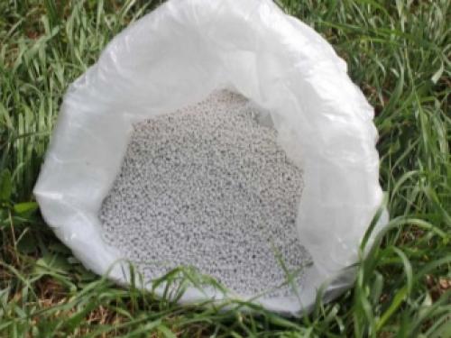 Методика использования минеральных удобрений для томатов. Минеральное питание 09 Методика использования минеральных удобрений для томатов. Минеральное питание 09