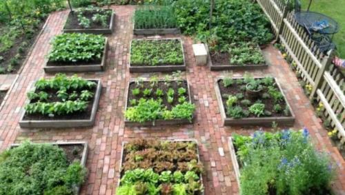 Какие растения можно сажать рядом, а какие нельзя таблица. Хорошие соседи 12 Какие растения можно сажать рядом, а какие нельзя таблица. Хорошие соседи 12