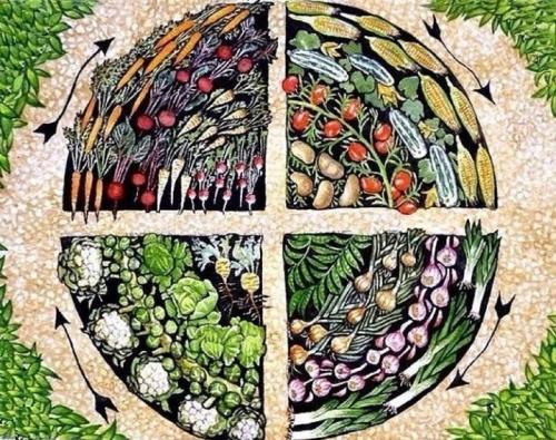 Какие растения можно сажать рядом, а какие нельзя таблица. Хорошие соседи 09 Какие растения можно сажать рядом, а какие нельзя таблица. Хорошие соседи 09