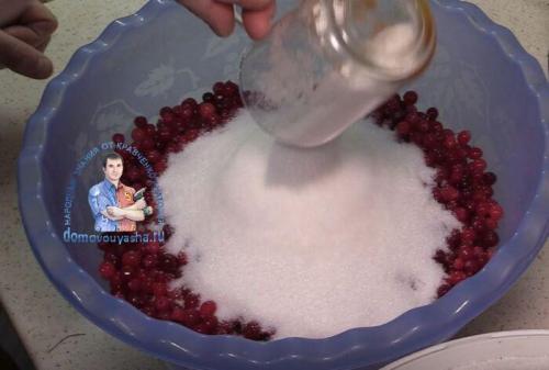 Можно ли заморозить клюкву с сахаром в блендере без варки. Клюква с сахаром на зиму