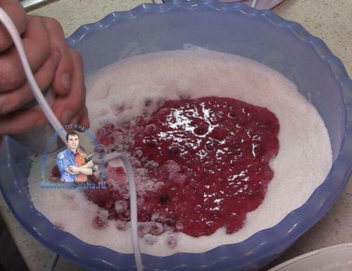 Можно ли заморозить клюкву с сахаром в блендере без варки. Клюква с сахаром на зиму