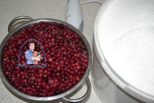 Можно ли заморозить клюкву с сахаром в блендере без варки. Клюква с сахаром на зиму