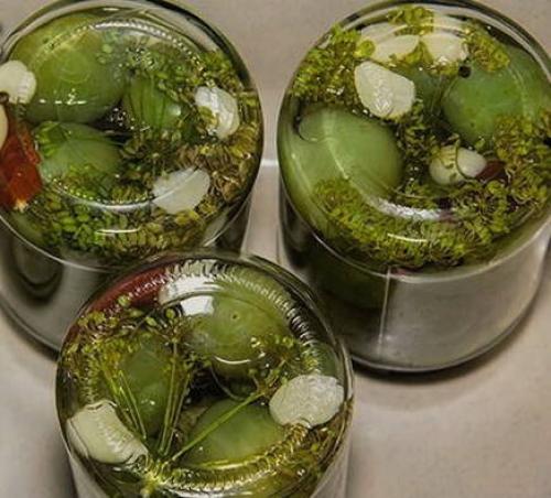 Солёные зелёные помидоры в банках холодным способом. Солёные зелёные помидоры в банках горячим способом