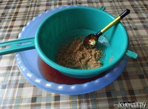 Томат рио гранде f1. Помидоры Рио Гранде. Собственный опыт. (Восстановленный пост).