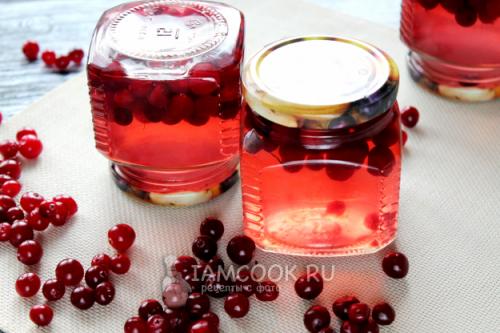 Можно ли использовать свежую клюкву для приготовления замороженного компота