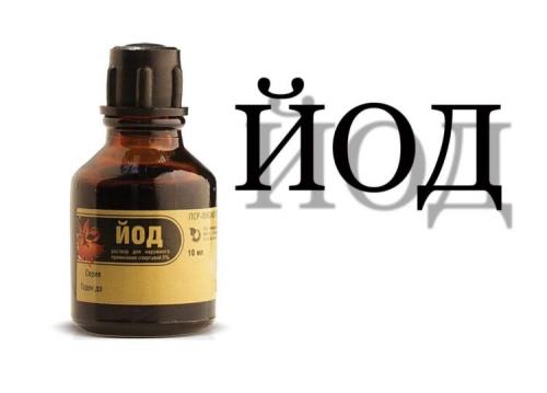 Подкормка помидоров в открытом грунте. Проверенные органические и минеральные удобрения 13