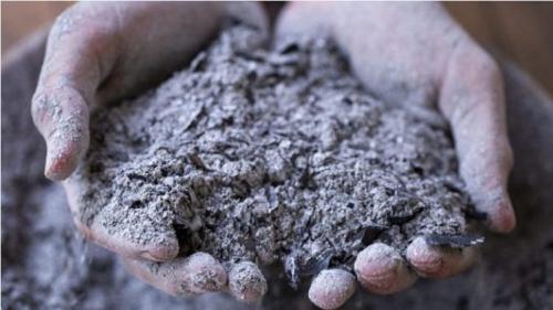 Подкормка помидоров в открытом грунте. Проверенные органические и минеральные удобрения 12