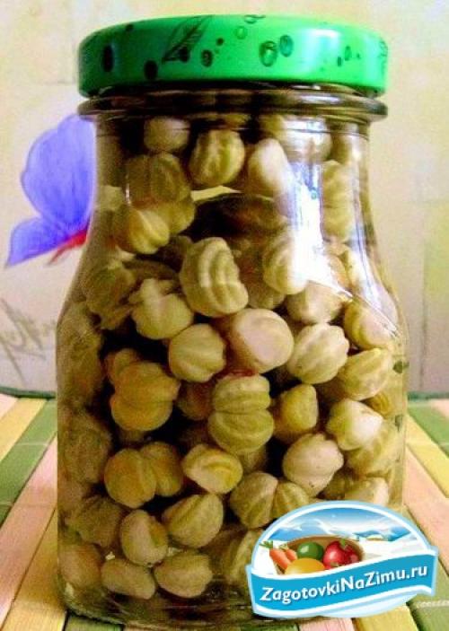 Как собрать семена настурции в домашних условиях. Когда и как собрать семена 04 Как собрать семена настурции в домашних условиях. Когда и как собрать семена 04