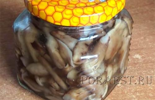 Как приготовить опята маринованные. Опята маринованные на зиму — 5 простых рецептов приготовления в домашних условиях