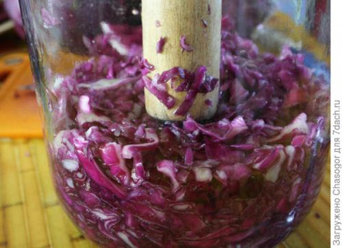 Как правильно замочить краснокочанную капусту перед заготовкой. Квашеная капуста красная