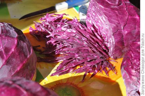 Как правильно хранить посоленную краснокочанную капусту. Квашеная капуста красная