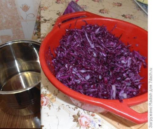 Как вкусно посолить краснокочанную капусту. Мой первый опыт заквашивания краснокочанной капусты