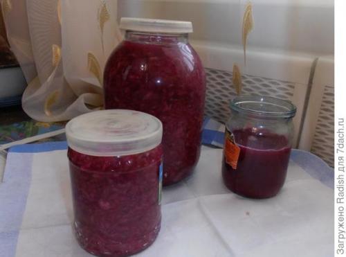 Как вкусно посолить краснокочанную капусту. Мой первый опыт заквашивания краснокочанной капусты