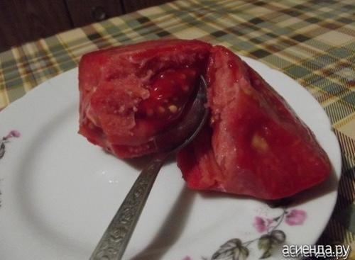 Семена томат Рио гранде. Помидоры Рио Гранде. Собственный опыт. (Восстановленный пост).