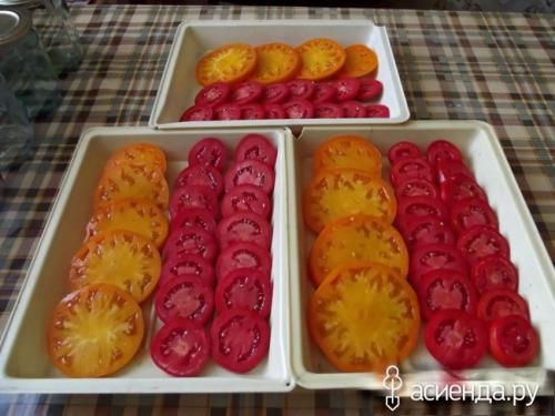 Семена томат Рио гранде. Помидоры Рио Гранде. Собственный опыт. (Восстановленный пост).