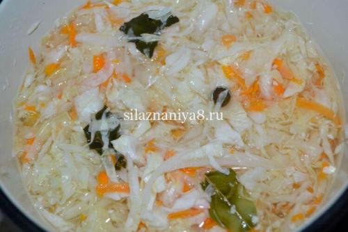 Хрустящая капуста в рассоле на зиму с уксусом. Маринованная капуста на зиму в банках – 10 вкусных рецептов хрустящей капусты 22 Хрустящая капуста в рассоле на зиму с уксусом. Маринованная капуста на зиму в банках – 10 вкусных рецептов хрустящей капусты 22