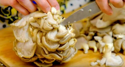 Как замариновать вешенки в банке. Быстрый рецепт маринованных вешенок в домашних условиях