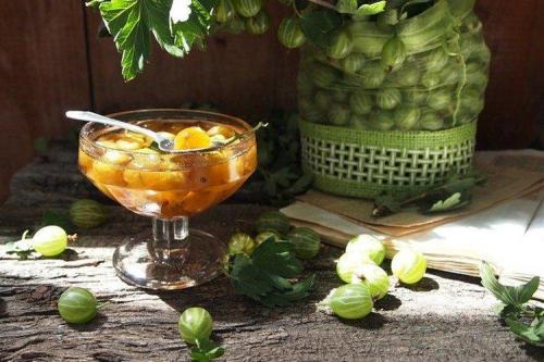 Что такое варенье из крыжовника с лимоном. 20 рецептов ароматного варенья из крыжовника