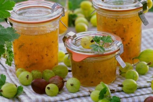 Какие ингредиенты нужны для приготовления варенья из крыжовника с лимоном. 12 лучших рецептов крыжовника с лимоном на зиму