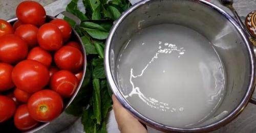 Помидоры быстрого приготовления с чесноком и зеленью. Малосольные помидоры быстрого приготовления: 11 рецептов