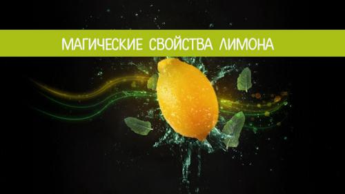 Лимон в доме приметы. Магические свойства лимона