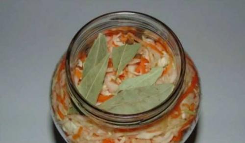 Квашеная капуста быстрого приготовления горячим рассолом. Капуста в горячем рассоле — 5 быстрых рецептов приготовления на зиму