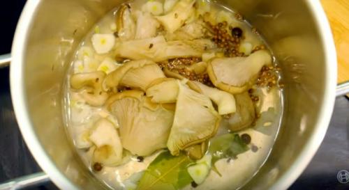 Как мариновать вешенки в домашних условиях. Быстрый рецепт маринованных вешенок в домашних условиях