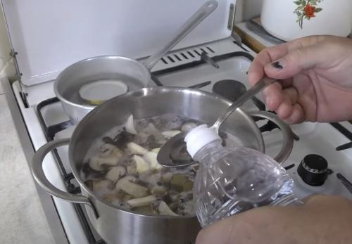 Уникальные рецепты подтопольников на зиму. Как мариновать подтопольники на зиму