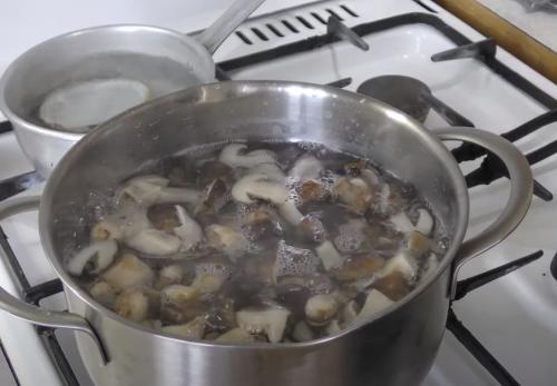 Уникальные рецепты подтопольников на зиму. Как мариновать подтопольники на зиму