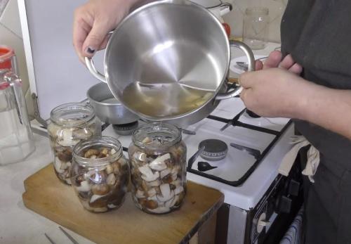 Уникальные рецепты подтопольников на зиму. Как мариновать подтопольники на зиму