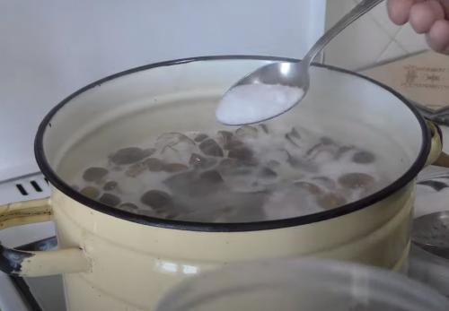 Уникальные рецепты подтопольников на зиму. Как мариновать подтопольники на зиму